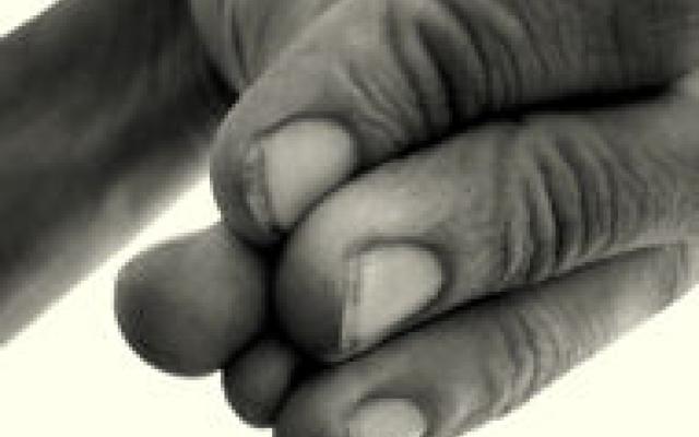 Embryopathie Softenon ontrafeld