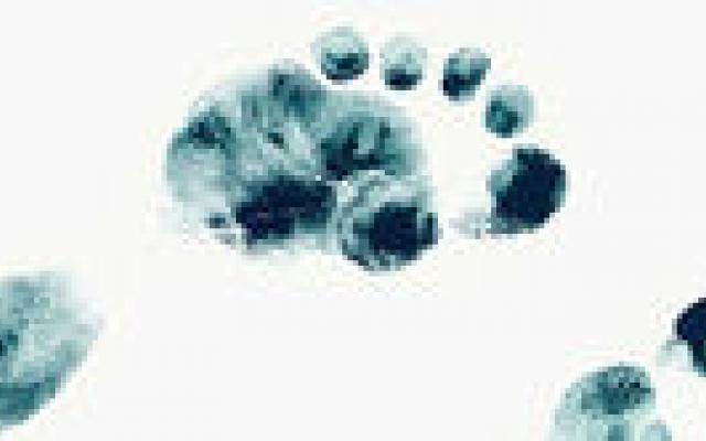 Hardloopschoenen slecht voor gewrichten