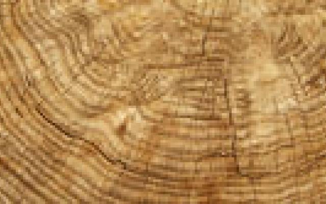 Automatische bepaling van botleeftijd