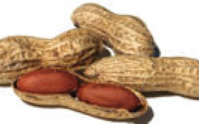 Pinda-allergietests vaak foutpositief