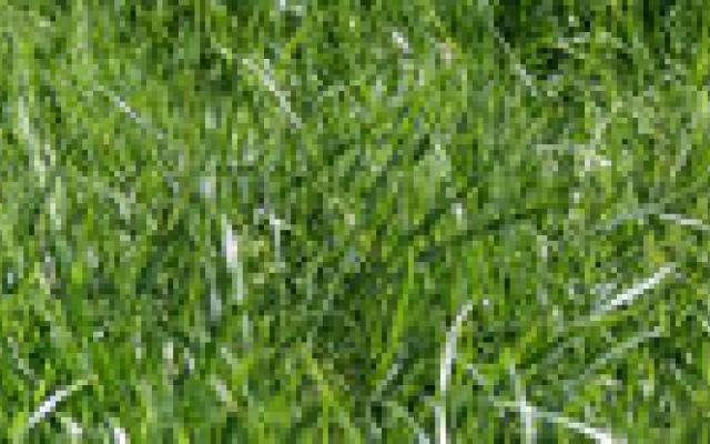 Resistente bacteriën in de bodem