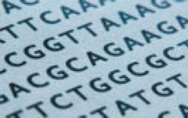 Genen zijn geen uitvinding en dus niet octrooieerbaar