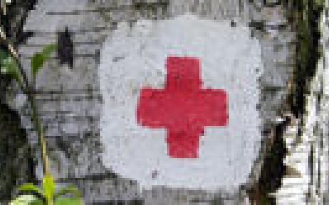 Fonds voor medische hulp op wereldschaal