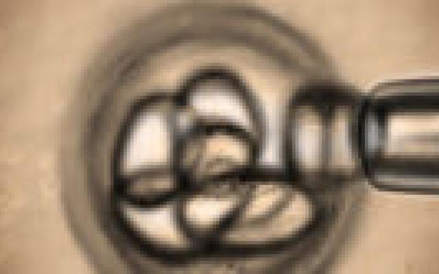 Oprichter Preventief Medisch Centrum schuldig aan wanpraktijk