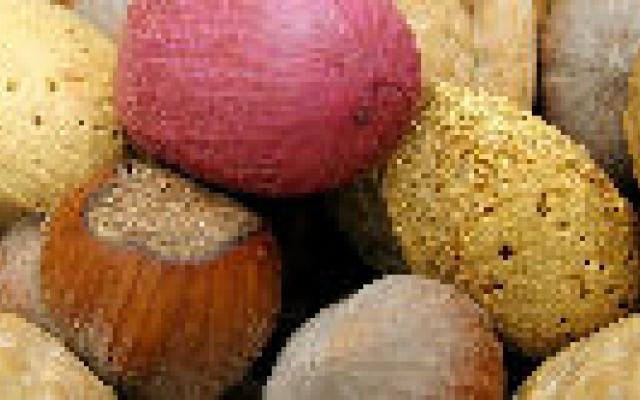 Minder voedselallergieën dan aangenomen