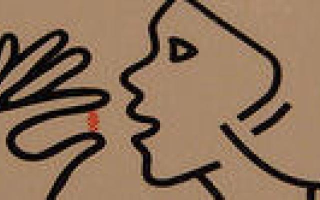 Lever- en nierschade door statines