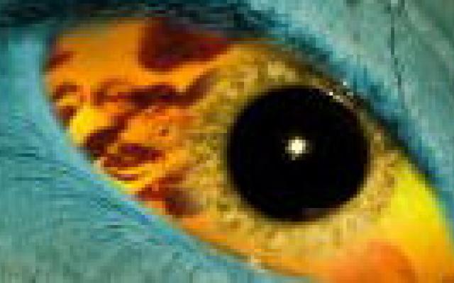 Blootstelling aan beelden van nachtmerrie effectief