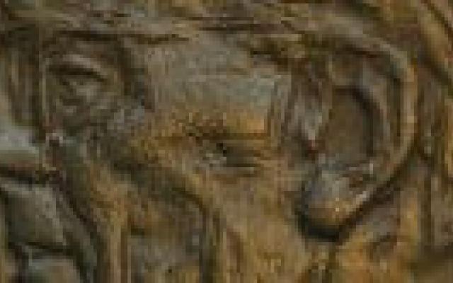 Aanwinsten van de Vereniging Nederlands Tijdschrift voor Geneeskunde