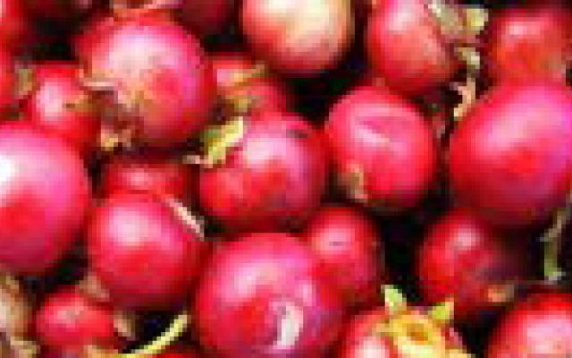Cranberrysap voorkomt geen nieuwe UWI