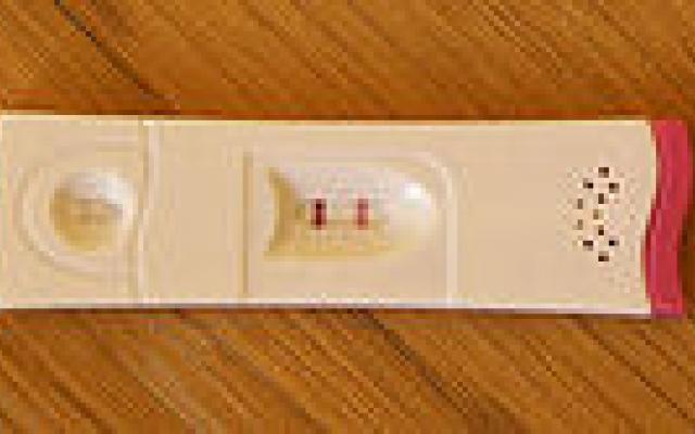 Nieuw voorspellingsmodel ivf