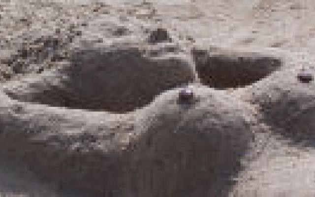 Mammografie minder sensitief na borstoperatie