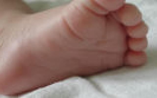 Hielprikscreening taaislijmziekte vanaf 1 mei 2011