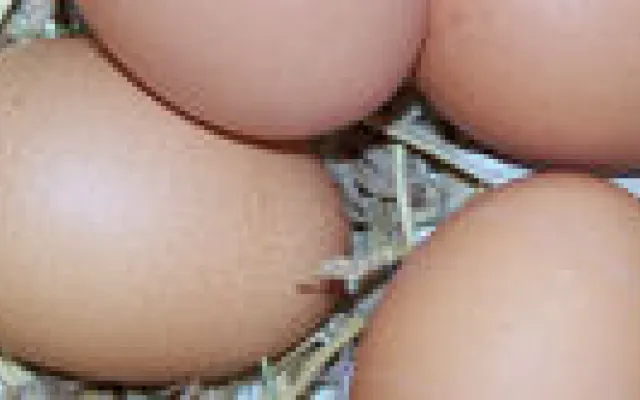 Verhoging HDL-cholesterolconcentratie weinig zinvol