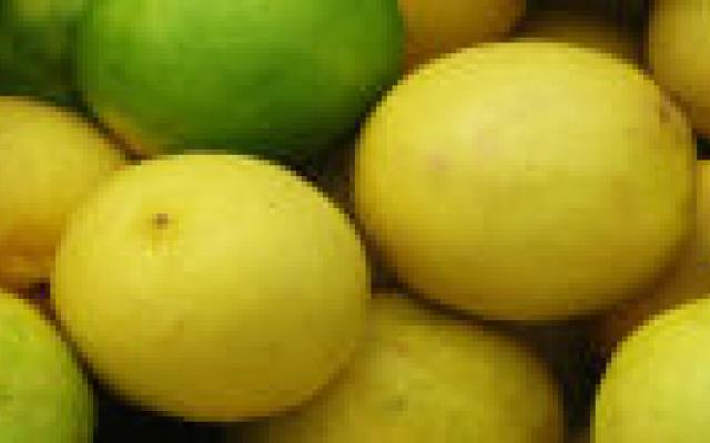 Huidige antirefluxbehandelingen effectief op lange termijn