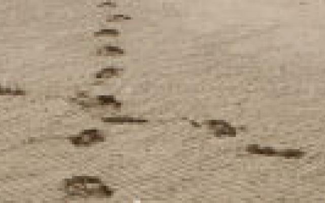 Niet meer overstappers in nieuwe zorgstelsel