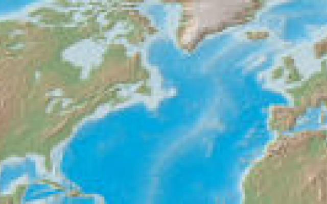 EMA en FDA beoordelen kankermedicatie vaak verschillend