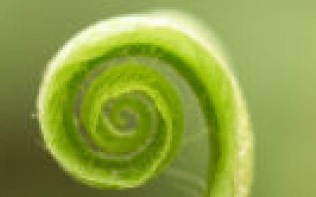 Niet screenen op ovariumcarcinoom