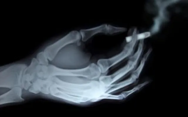 Foto: Infinity32829/shutterstock