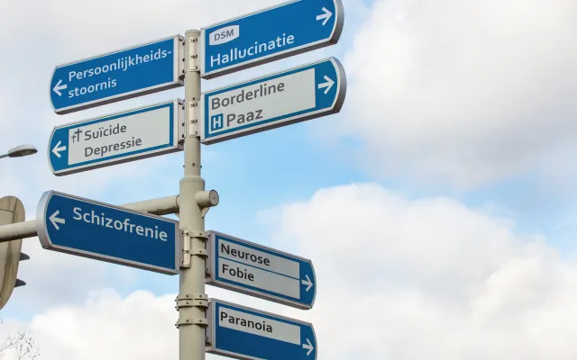 Een paal met richtingsborden in het verkeer. Op de borden staan woorden zoals 'persoonlijkheidsstoornis' en 'hallucinatie'. Ze wijzen verschillende kanten op.