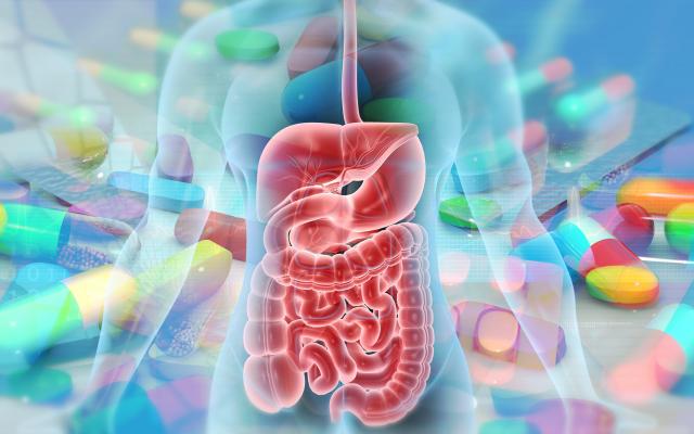 Een doorzichtig lichaam waarin de ingewanden zichtbaar zijn. Op de achtergrond liggen verschillende pillen.