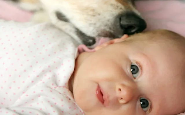 Een hond geeft een baby een lik.