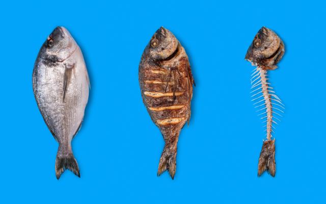 Een vis is driemaal afgebeeld: links als gewoon, in het midden als gegrild en rechts zijn alleen de kop, graat en staart over.