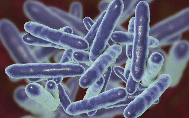 Microscopisch beeld van cellen