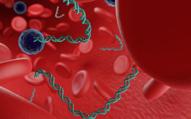 Digitale illustratie van bloedcellen en DNA.