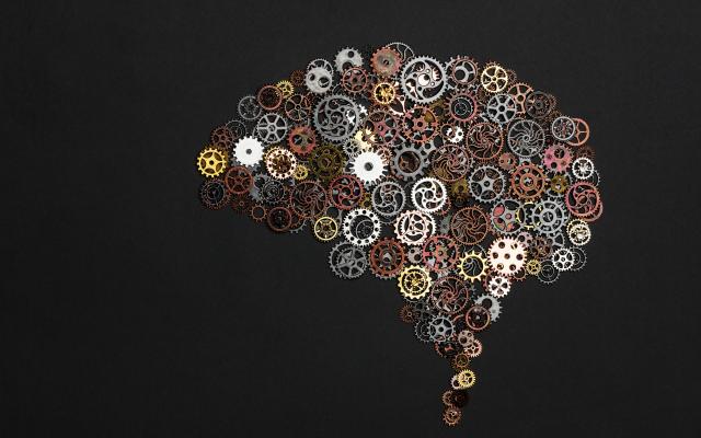 Hersenen gevormd uit radartjes