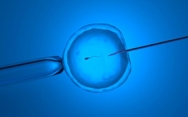 Injectienaald in eicel