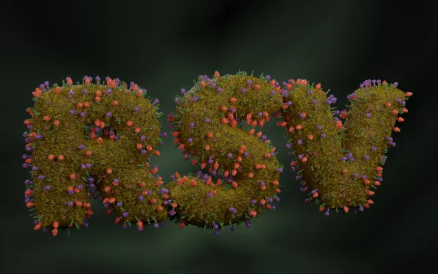 Illustratie: Peter Hansen/iStock.com Letters RSV in bloemen