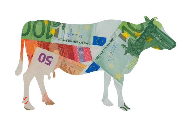 Illustratie van koe met print van geld