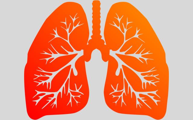 Illustratie van longen