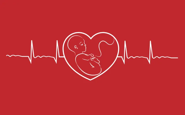 Illustratie van een hartslag in de vorm van hart met baby erin
