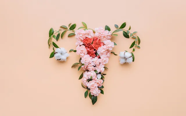 Illustratie van een vagina met eileiders gemaakt van bloemen