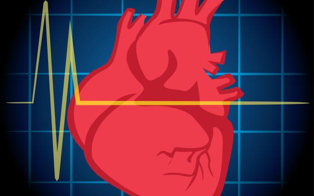 Illustratie van een hart met een hartmeter erdoorheen