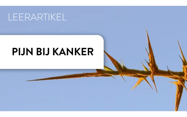 Een tak met stekels