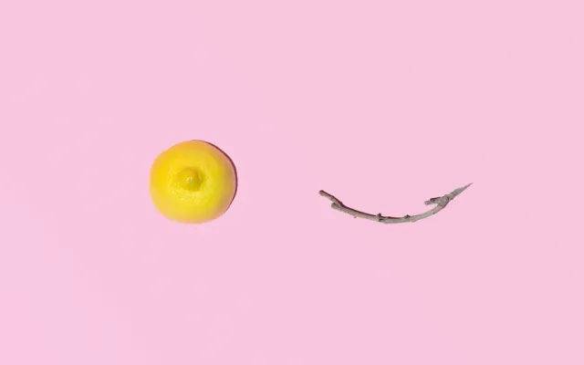 Illustratie van een halve citroen en een takje