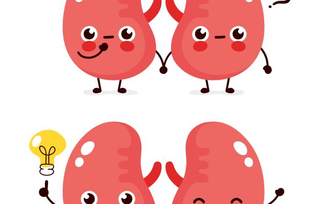 Foto: svtdesign/shutterstock