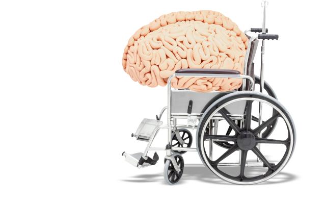 Foto: Engineer studio/shutterstock