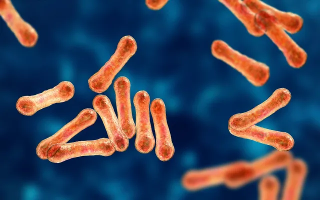 Corynebacterium diphtheriae
