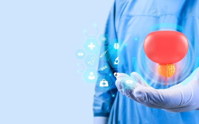 Illustratie van prostaat