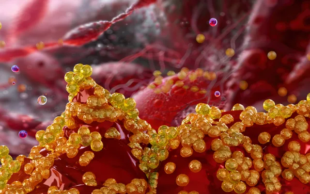 Beeld: quantic69/Istock.com Staphylococcus aureaus