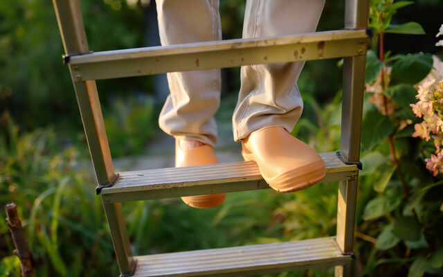 Iemand die op een ladder staat