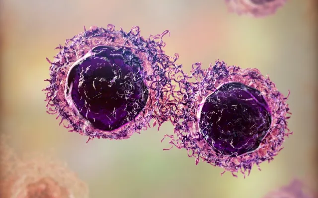 Microscopisch beeld