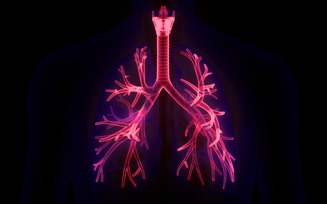 Illustratie van longen