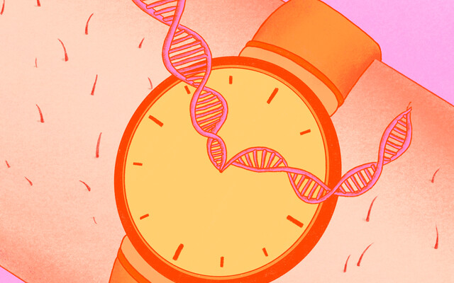 Horloge met DNA string