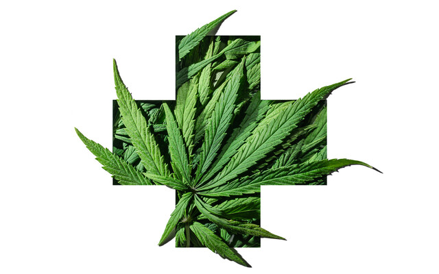 Beeld: Amax Photo/iStock.com Cannabis