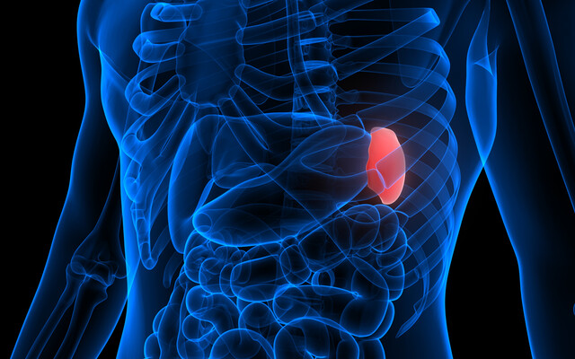 Illustratie waarbij een orgaan oplicht