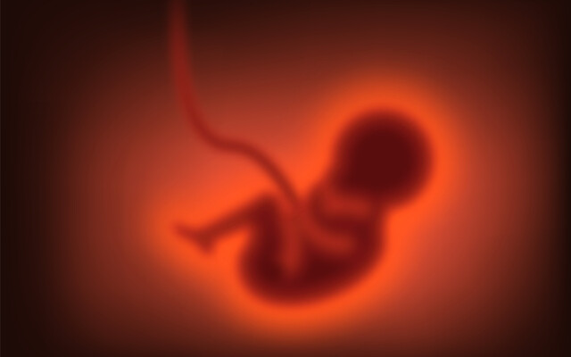 Illustratie van een baby in de baarmoeder